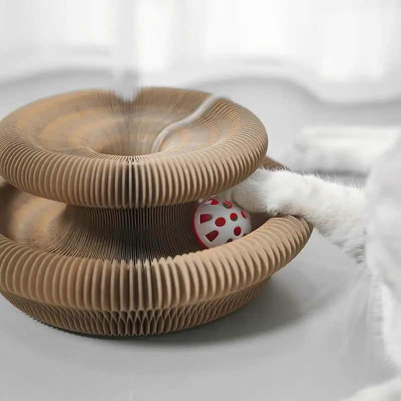 Brinquedo Acordeão De Papelão c/ Bola Interativa para Gatos