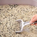 Grãos Desodorizadores para Caixa de Areia